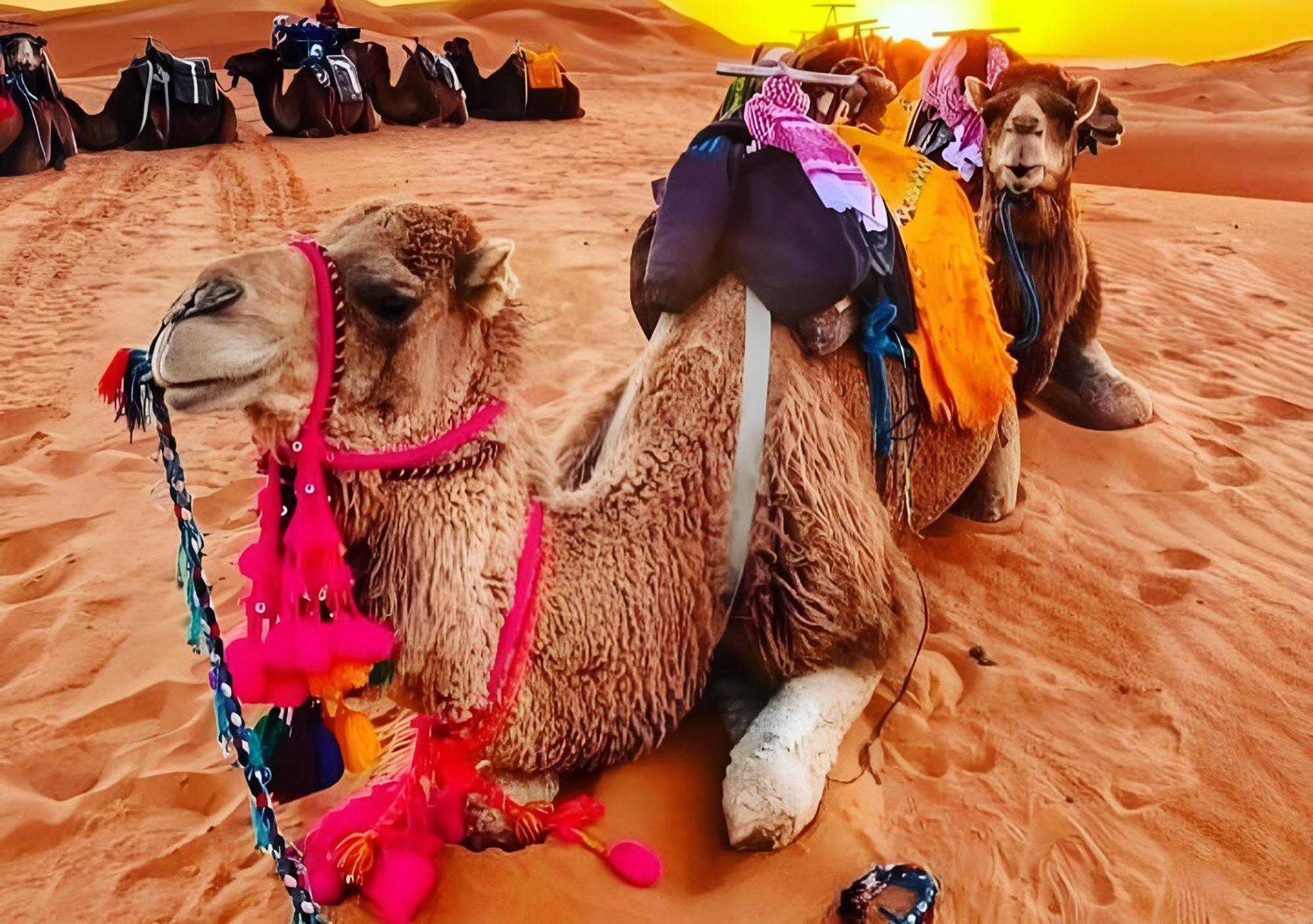 Merzouga Luxurious Tented Экстерьер фото